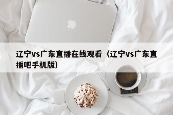 辽宁vs广东直播在线观看（辽宁vs广东直播吧手机版）