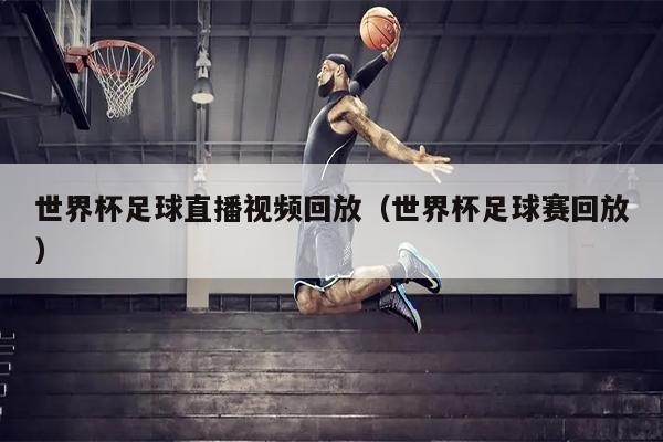 世界杯足球直播视频回放（世界杯足球赛回放）