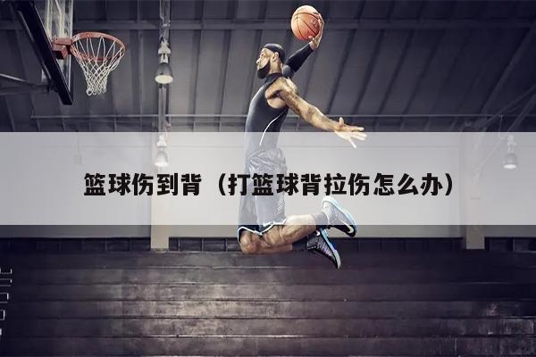篮球伤到背（打篮球背拉伤怎么办）