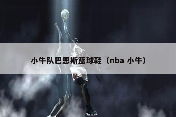小牛队巴恩斯篮球鞋（nba 小牛）