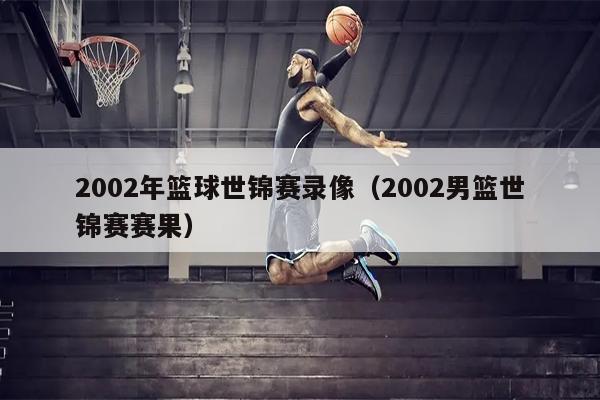 2002年篮球世锦赛录像（2002男篮世锦赛赛果）