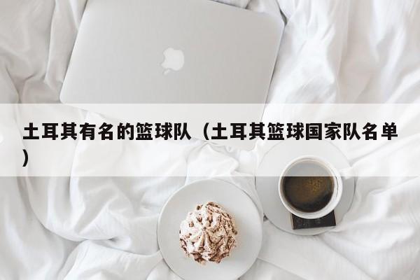 土耳其有名的篮球队（土耳其篮球国家队名单）