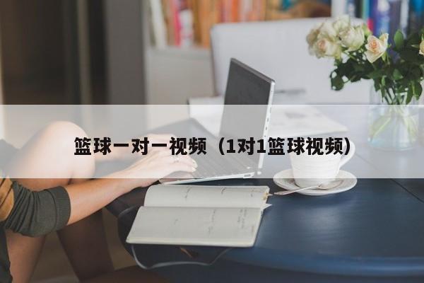 篮球一对一视频（1对1篮球视频）