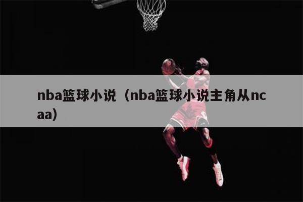 nba篮球小说（nba篮球小说主角从ncaa）