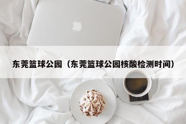 东莞篮球公园（东莞篮球公园核酸检测时间）