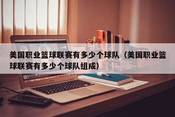 美国职业篮球联赛有多少个球队（美国职业篮球联赛有多少个球队组成）