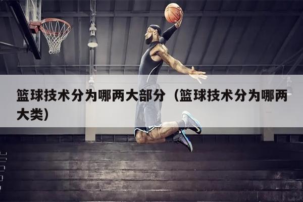 篮球技术分为哪两大部分（篮球技术分为哪两大类）