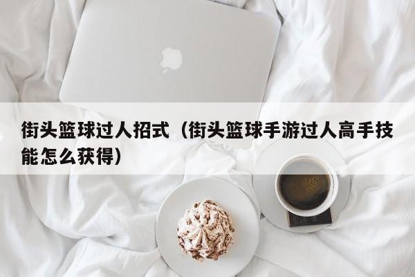 街头篮球过人招式（街头篮球手游过人高手技能怎么获得）