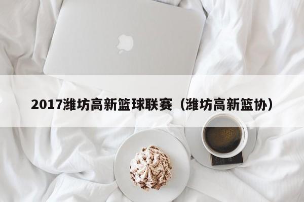 2017潍坊高新篮球联赛（潍坊高新篮协）
