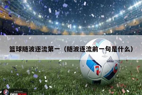 篮球随波逐流第一（随波逐流前一句是什么）
