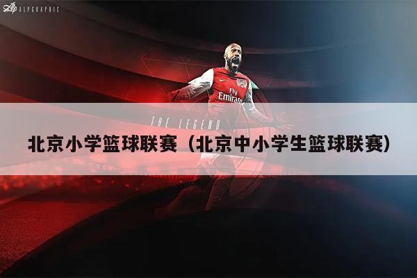 北京小学篮球联赛（北京中小学生篮球联赛）