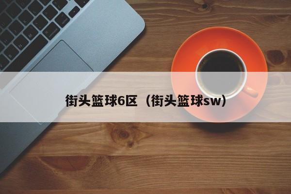 街头篮球6区（街头篮球sw）