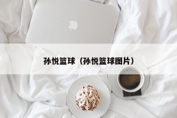 孙悦篮球（孙悦篮球图片）