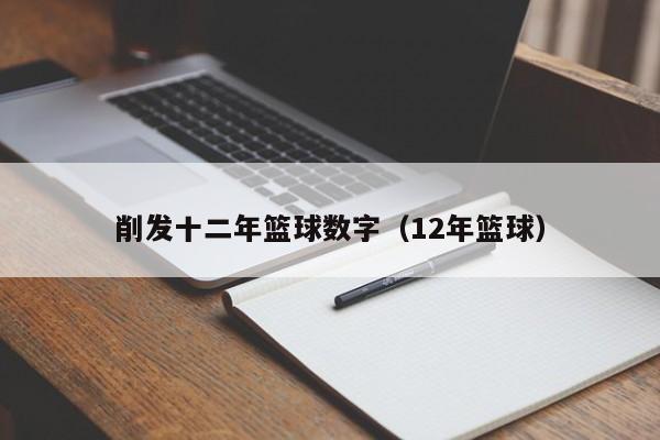 削发十二年篮球数字（12年篮球）