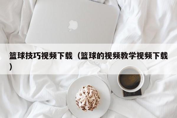 篮球技巧视频下载（篮球的视频教学视频下载）
