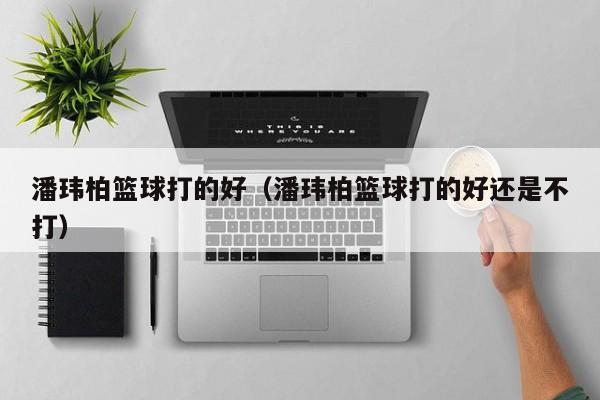 潘玮柏篮球打的好（潘玮柏篮球打的好还是不打）