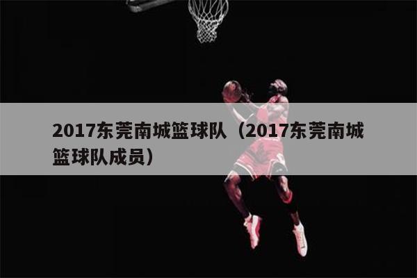 2017东莞南城篮球队（2017东莞南城篮球队成员）
