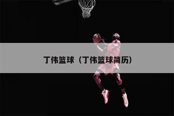 丁伟篮球（丁伟篮球简历）