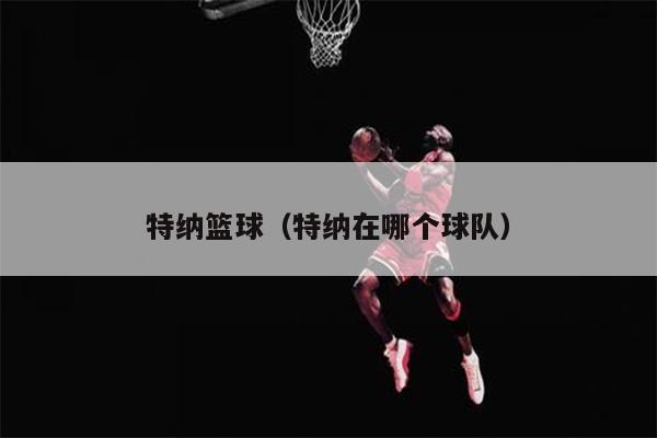 特纳篮球（特纳在哪个球队）