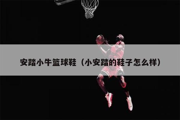 安踏小牛篮球鞋（小安踏的鞋子怎么样）