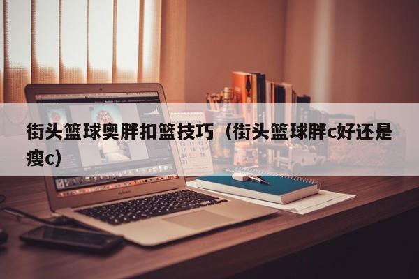 街头篮球奥胖扣篮技巧（街头篮球胖c好还是瘦c）