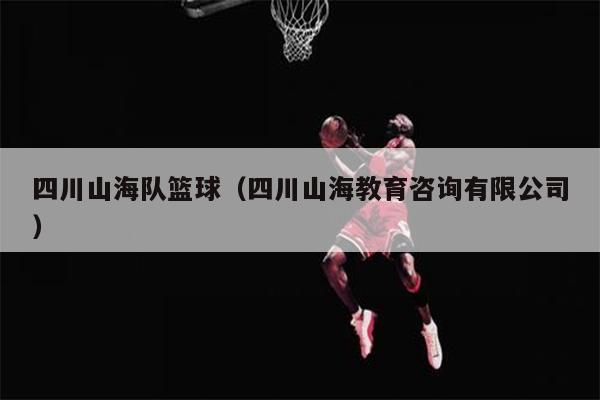 四川山海队篮球（四川山海教育咨询有限公司）