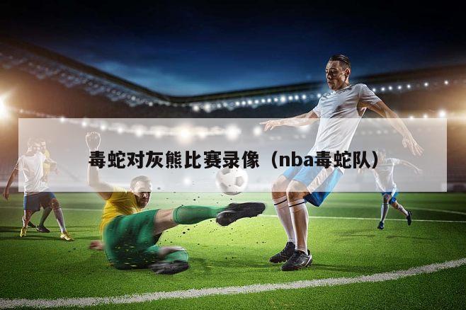 毒蛇对灰熊比赛录像（nba毒蛇队）