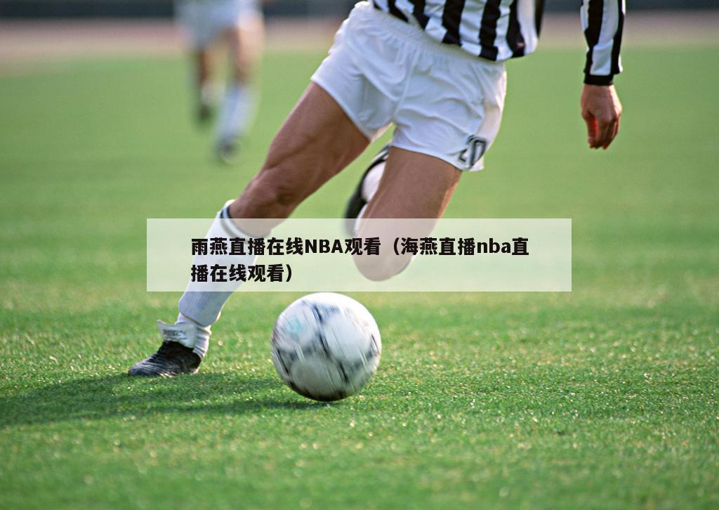 雨燕直播在线NBA观看（海燕直播nba直播在线观看）