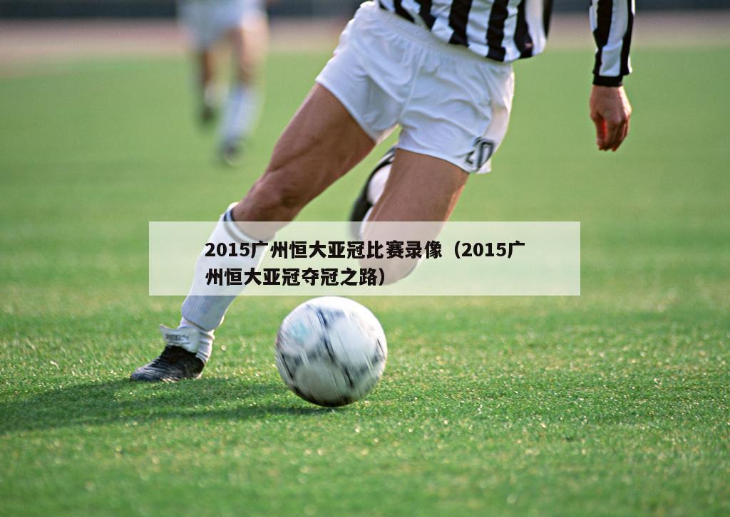 2015广州恒大亚冠比赛录像（2015广州恒大亚冠夺冠之路）